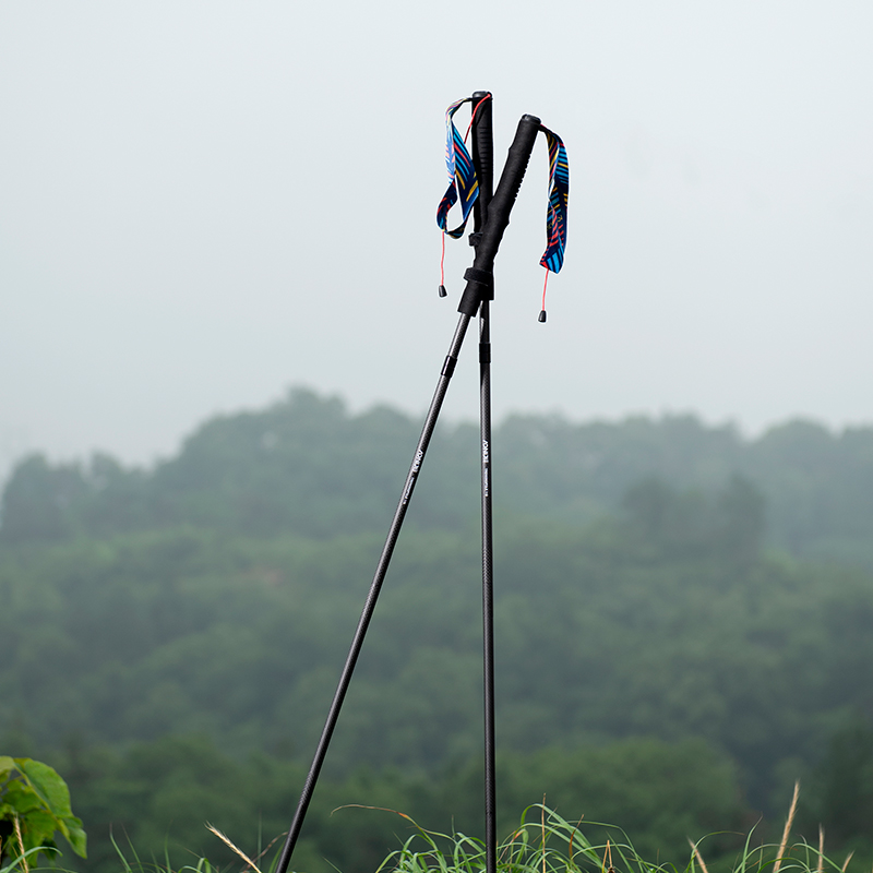 2 pezzi AONIJIE Nuovi Bastoni  - Trekking Pole Carbon recensione e prezzo